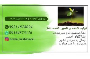 مجموعه نشا کشاورزی | مرکز فروش ، تولید و تامین نشا کشاورزی در تهران ، ورامین ، کرج و سراسر کشور