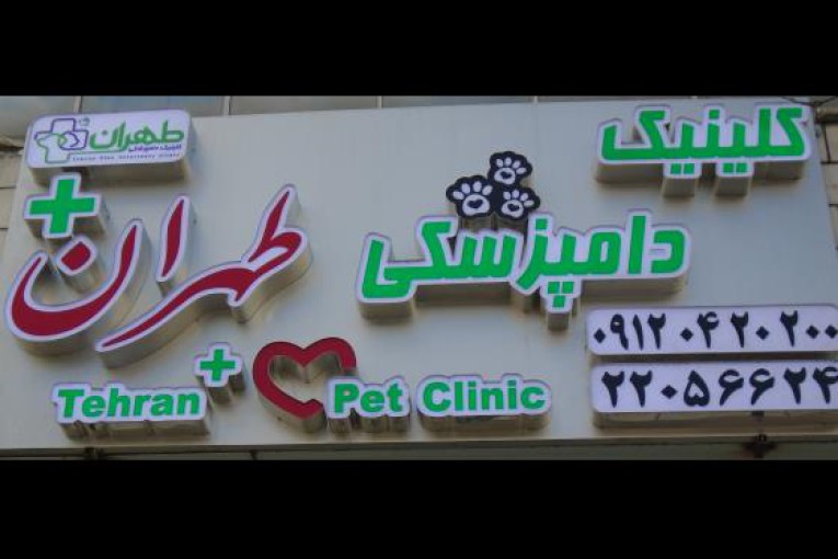 دامپزشکی تهران پلاس | پت شاپ در جردن و کلینیک حیوانات بی سرپرست  