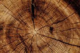 دکوراسیون سون | ساخت تمامی سازه های چوب و مصنوعات چوبی
