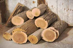 پوشال آیدین | فروش پودر چوب